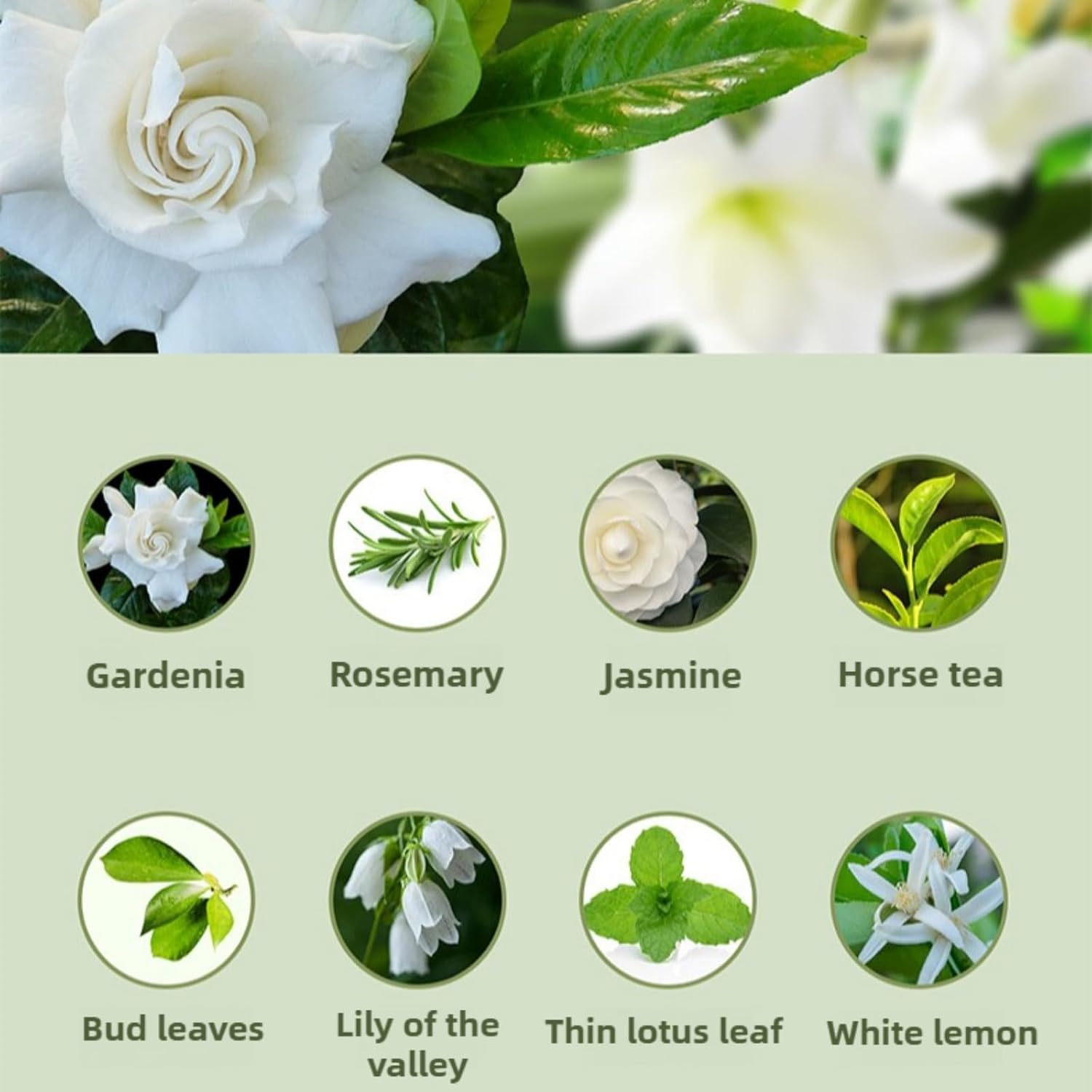 Intelligent Aromatherapy Diffuser Automatic Scent Sprayer, 4 Mode Rechargeable Ultrasonic Humidifier, Wall Mount Wireless Air Freshener for Bedroom, Large Room, Office (4pcs Gardenia)