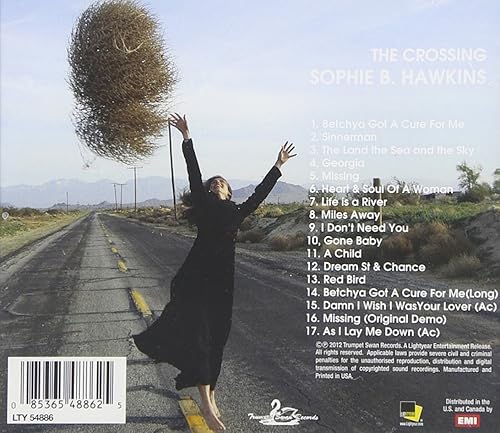 Miniatura 2 de El cruce