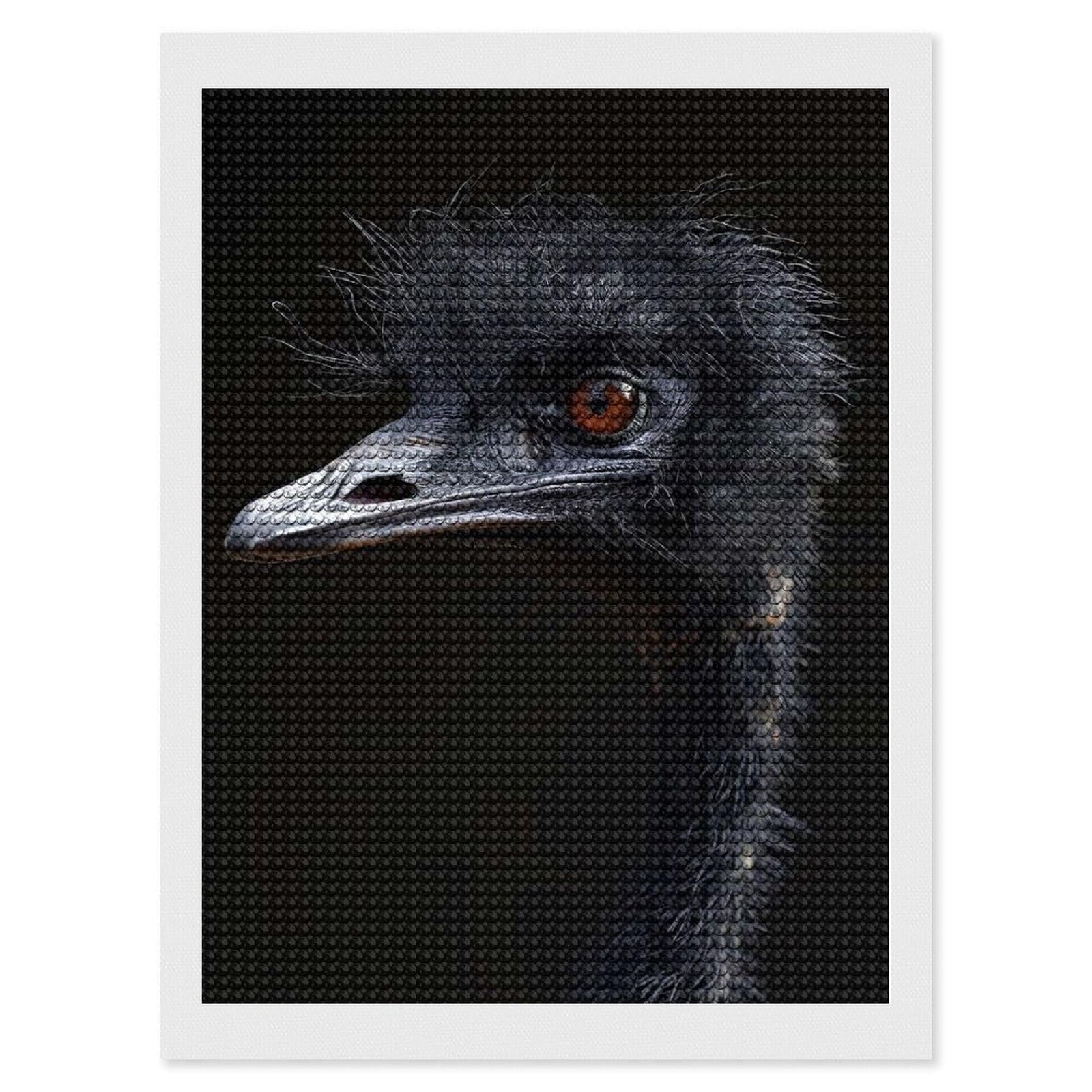Junmoney Emu DIY Diamond Art Canvas Kit 12"x16", Simple to Start, Fun Craft Experience, Modern Decor, Gift Idea, Adhesive Canvas