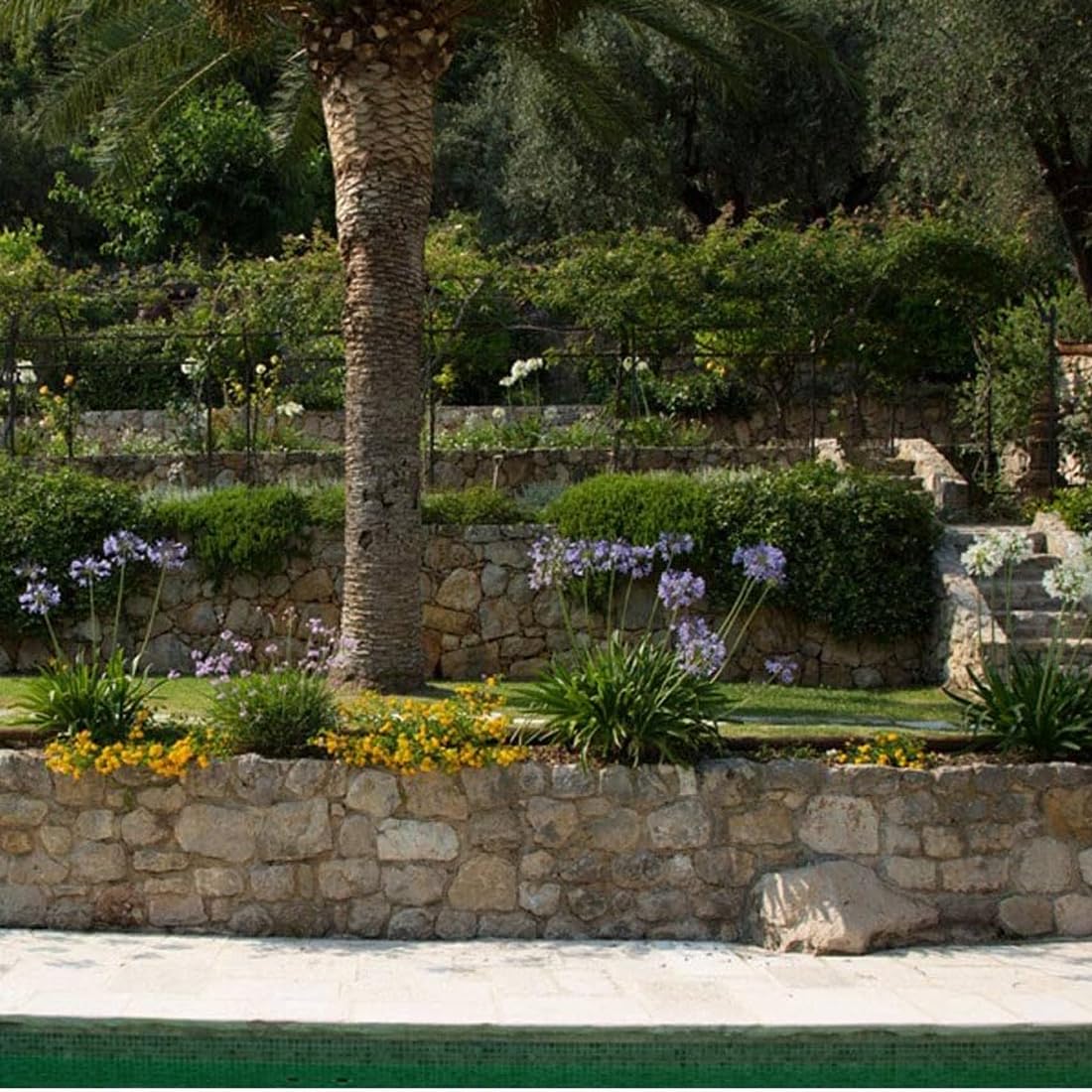 GNCGarden Programmeur d'irrigation Toro Tempus 4 Saisons Intérieur 220V – Minuterie d'arrosage automatique | Contrôleur d'irrigation Série Tempus de taureau Économie d'eau | Programmeur d'arrosage