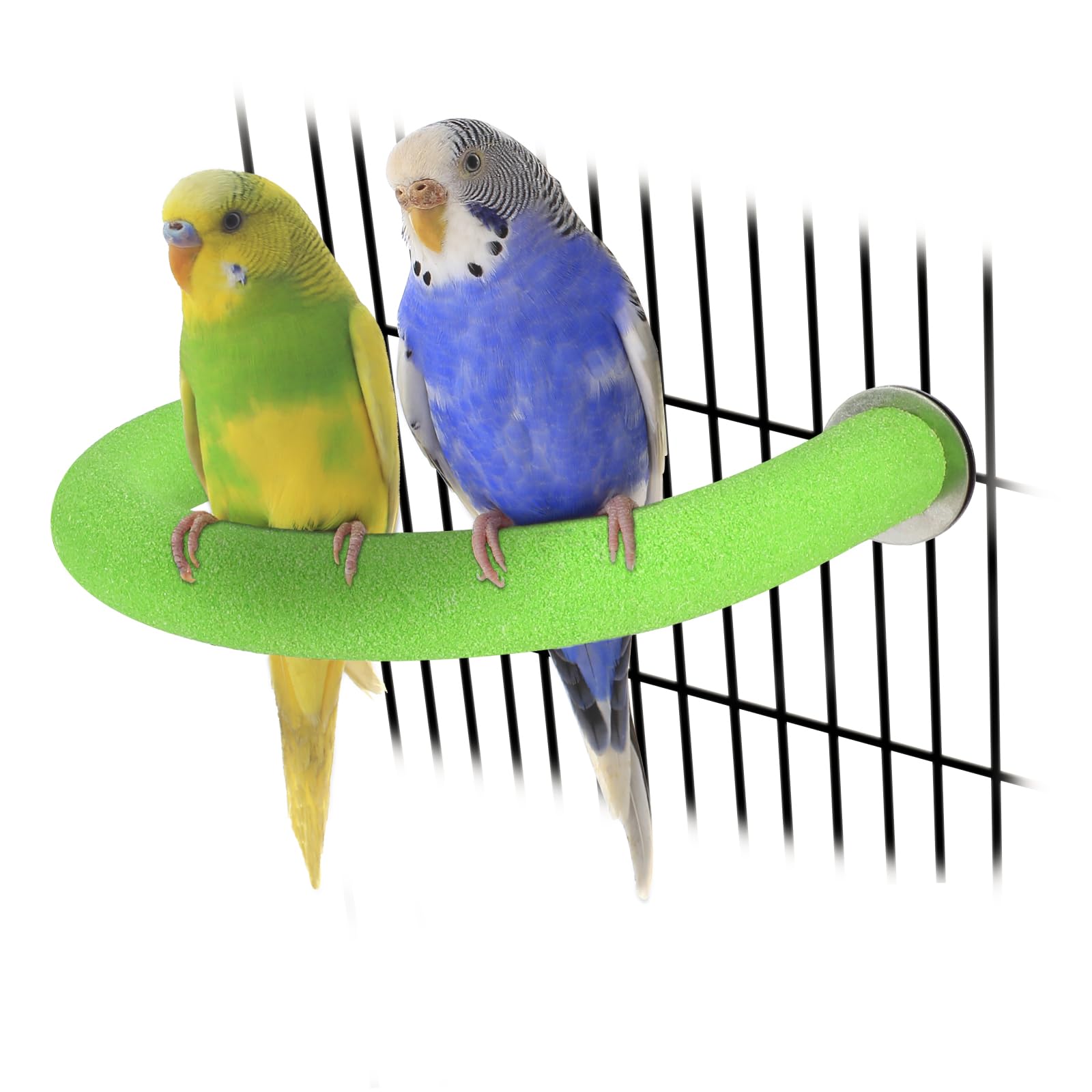 Rypet U-Shaped Parrot Perch, Quartz Bird Perch for Cage(Green S)