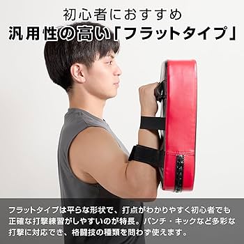 新品 未使用 グローブ danger ボクシング キックボクシング ミット打ちに 新品 未使用 グローブ danger ボクシング キックボクシング ミット打ち