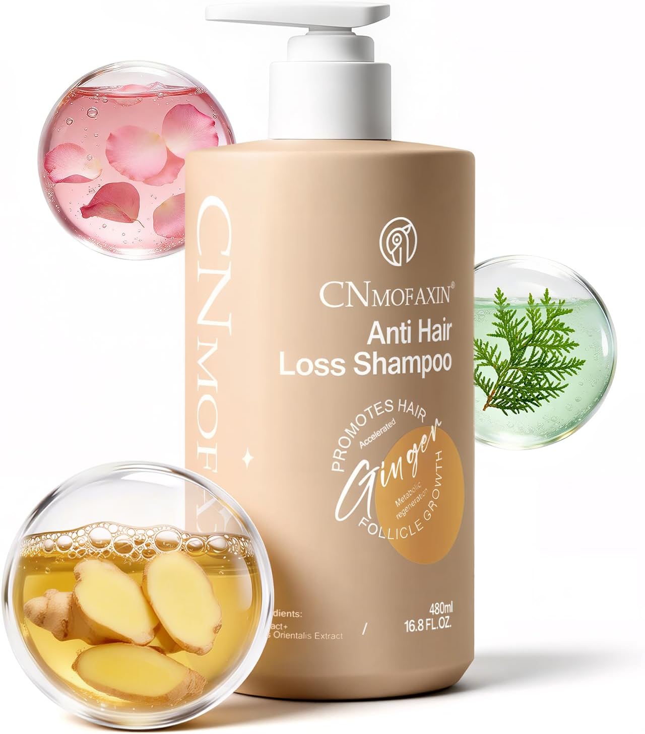 Anti Hair Loss Shampoo, Nourishing Hair Growth Ginger Shampoo for Men & Women - Volumizing Hair Regrowth Treatment infused with Herbal Essences Rose & Castor Oil 16.8 fl. oz
