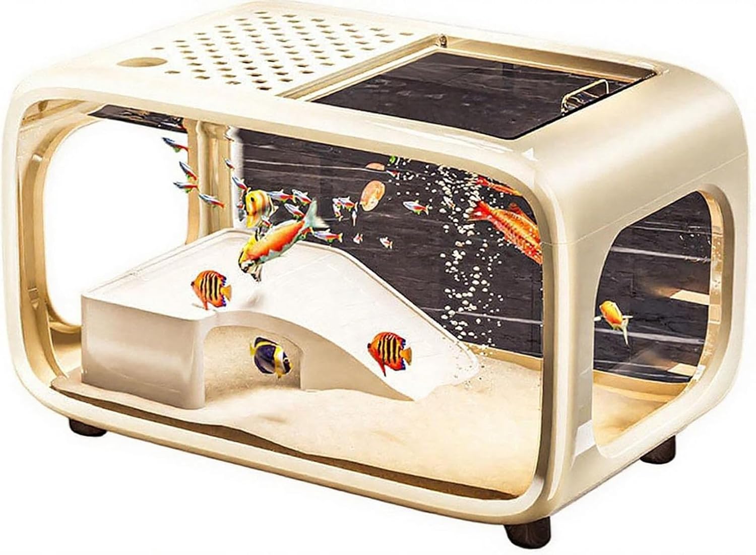 Amazon.com : Mini Fish Tank, 10-Gallon Landscape Aquarium with Feeding ...