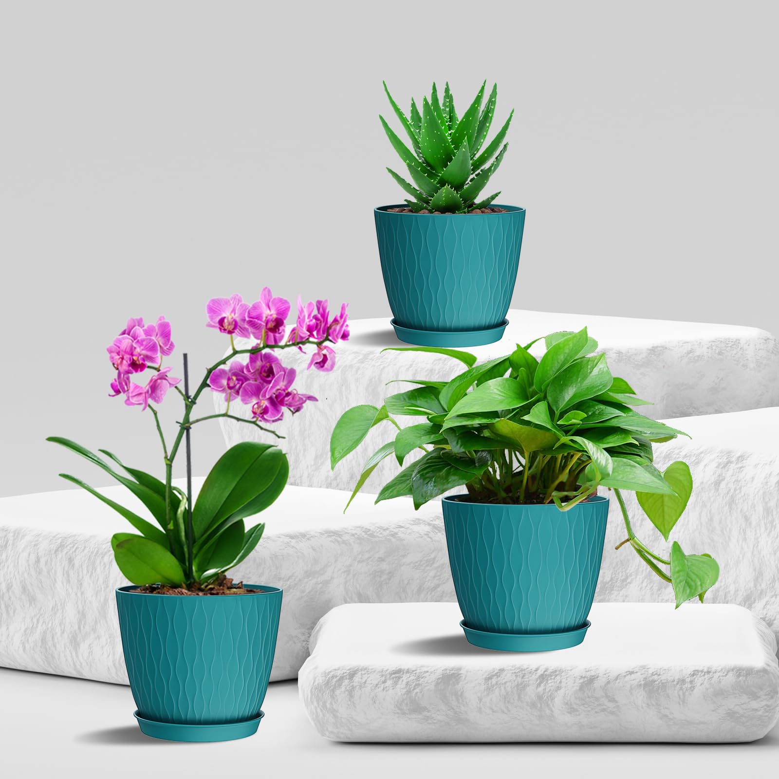 design flower pot 6 植木鉢 6 Inch Plant Pots, 6 Pack Flower Pots for Indoor and Outdoor Use