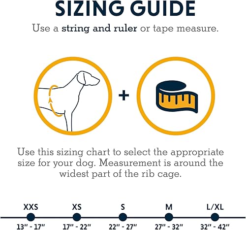 Miniatura 6 de RUFFWEAR - Arnés para perro Front Range, arnés reflectante y acolchado para el entrenamiento y el día a día, color salvia morada, talla L  XL