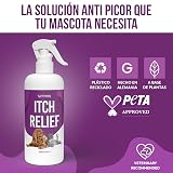 Ver la foto 5