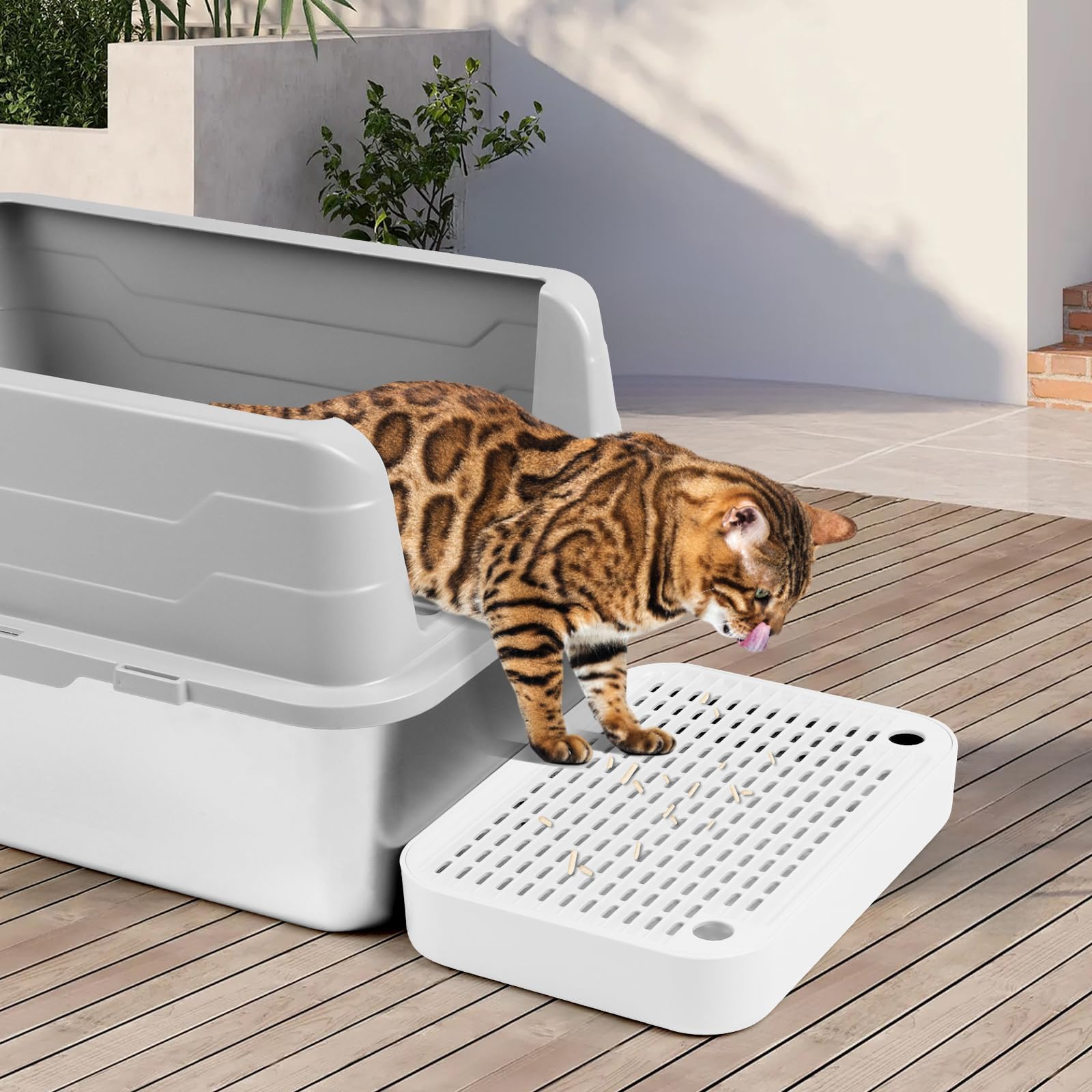 Kalolary Rampe de litière pour Chat avec Couche filtrante - Marches antidérapantes pour litière - Idéal pour Les Chats de Petite et Moyenne Taille (Blanc Plat)