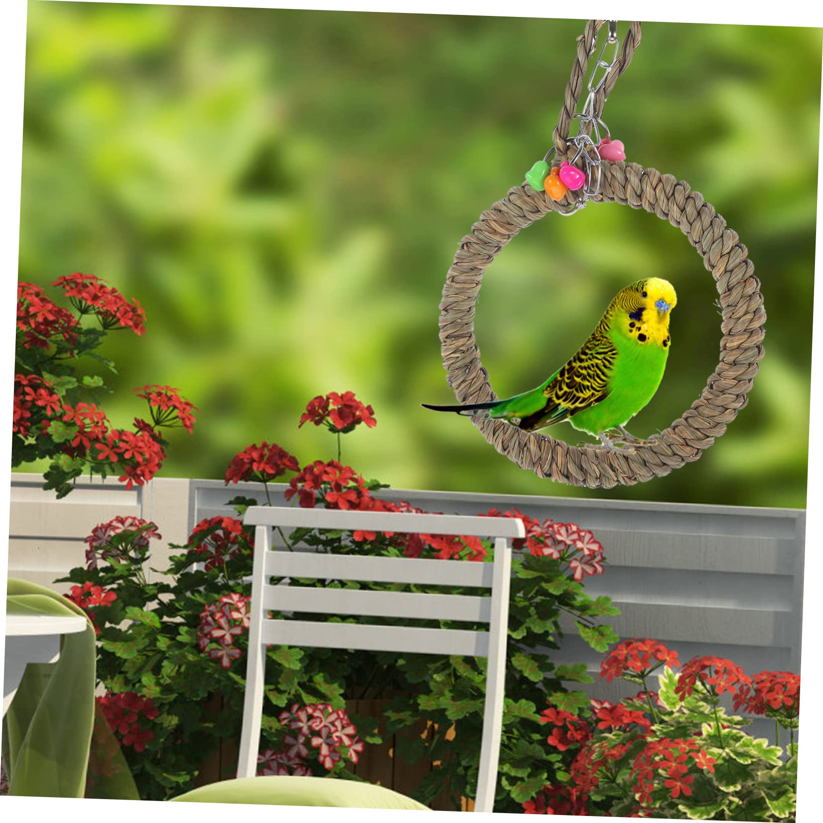 BESPORTBLE 5stücke Bird Swing Toy Für Papageien Hängendes Kletterspielzeug Aus Hochwertigem Material Lustiges Spielzeug Für Wellensittiche Und Nymphensittiche Bequeme Ruhe Und