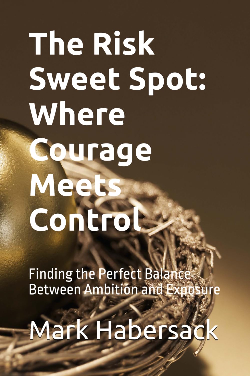 The Risk Sweet Spot: Where Courage Meets Control: Finding the Perfect Balance Between Ambition and Exposure
