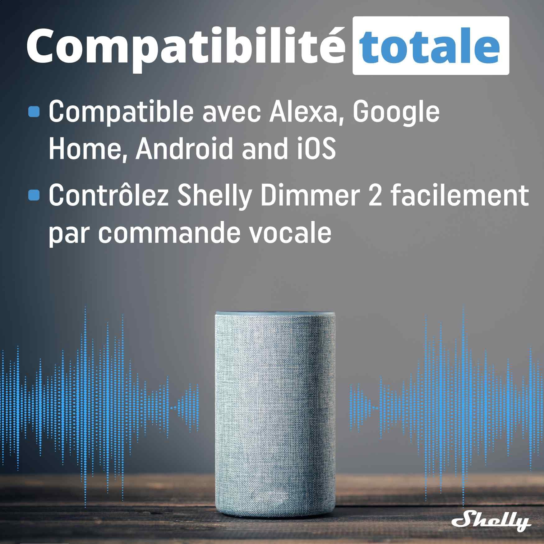 Shelly Dimmer 2 - Interrupteur Variateur de Lumière Wi-Fi, Gradateur LED et Halogènes, Intesnité variable 50-200 VA/10W-200 W, Aucun hub requis, Alexa & Google home, app iOS Android (Lot de 2)