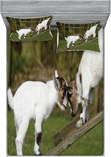 Miniatura 14 de Ambesonne Juego de sábanas bajeras y fundas de almohada, diseño retro de los videojuegos con botones de joystick vintage de los años 80 y 90, diseño