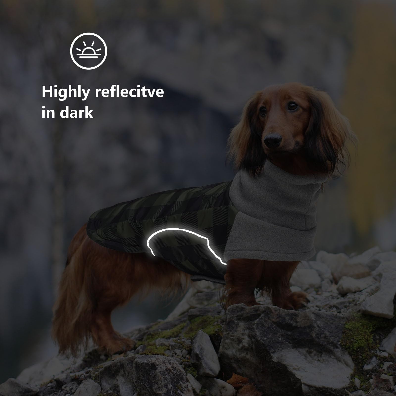 babepet Waterproof Small Dog Winter Coat,Dachshund Coat Clothes,Miniature Dachshund Jacket,Pet Garment Ideal for Walking,Hiking,Camping-Green Plaid-M - Image 4