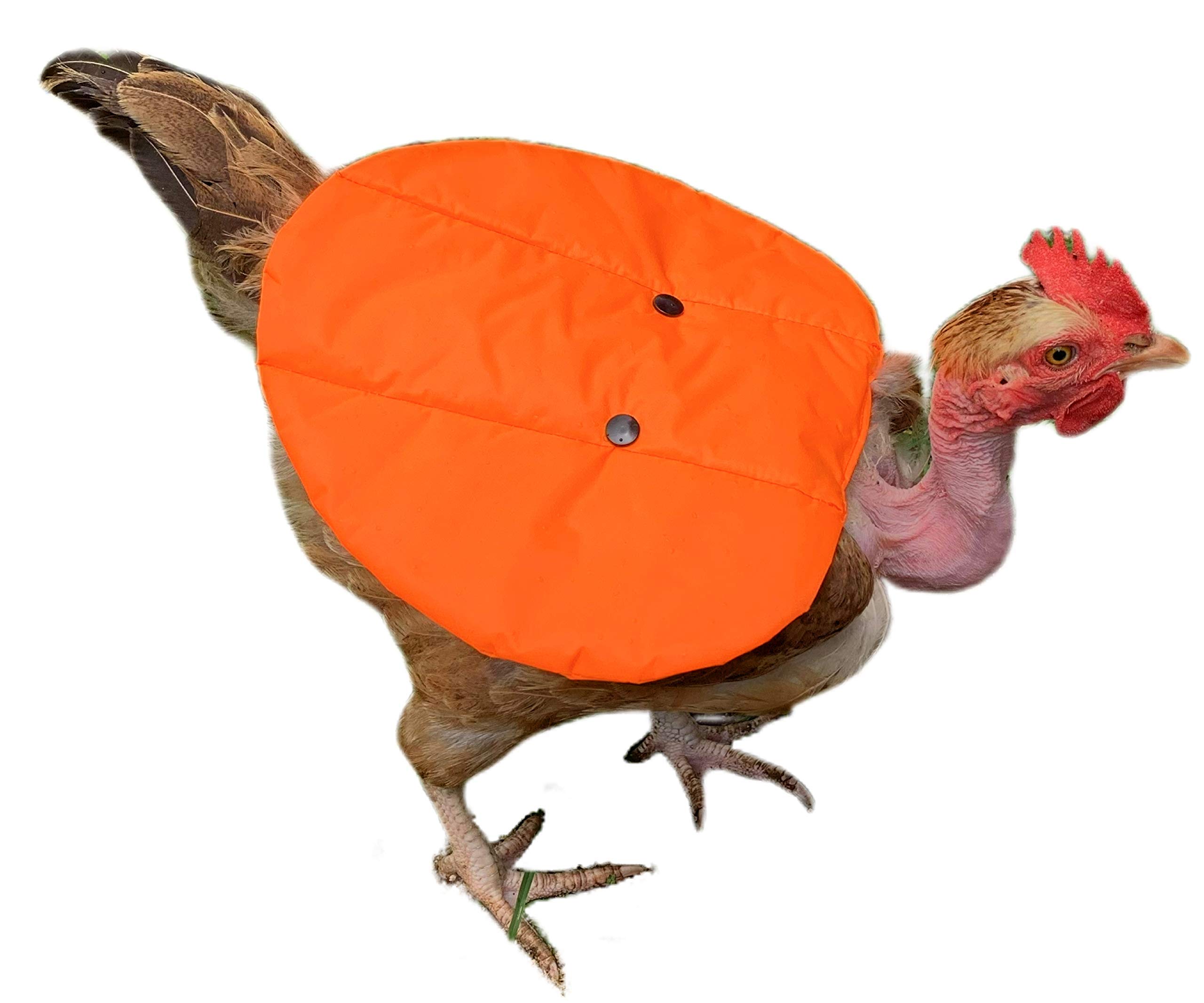 Hen Supplies Flower LOVIVER Standard Chicken Saddle Hen Apron Vest