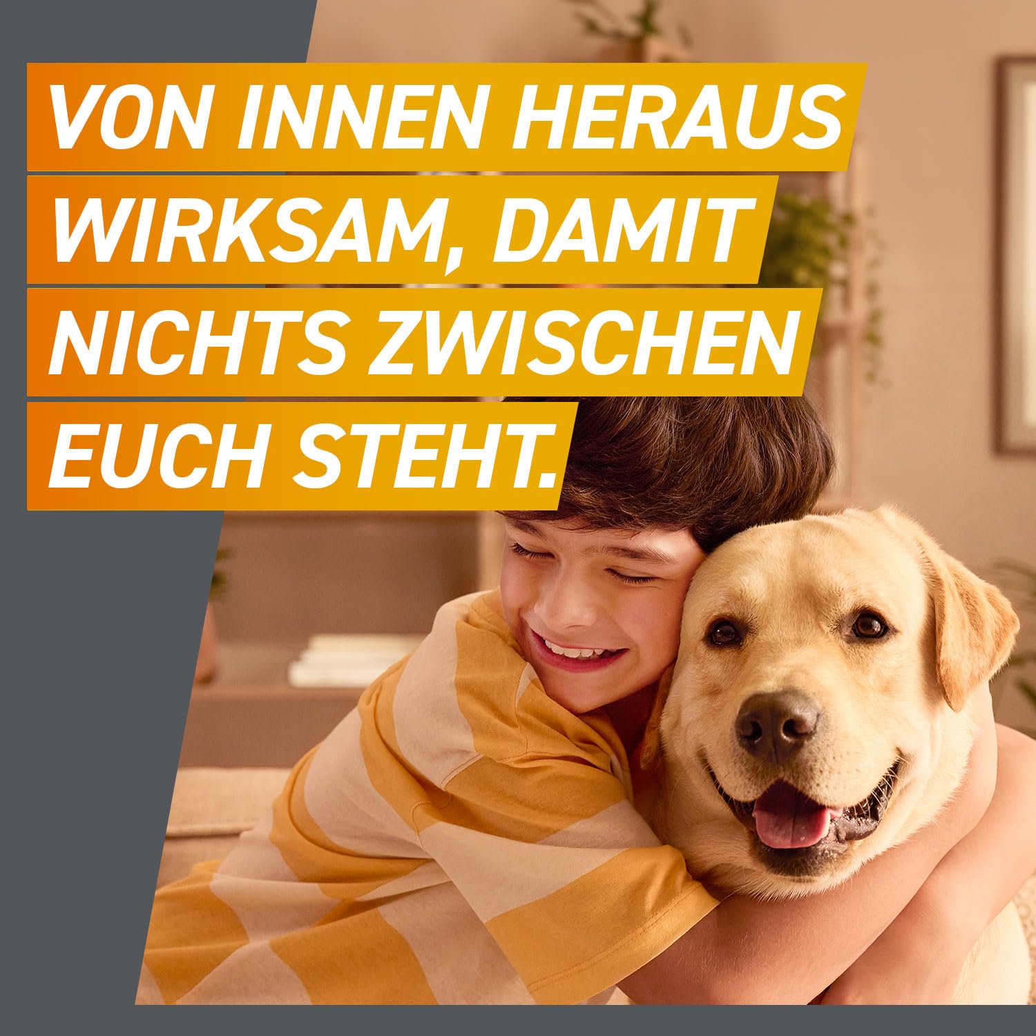 FRONTPRO Hund M - Kautablette gegen Zecken & Flöhe (Hunde 4 bis 10 kg)