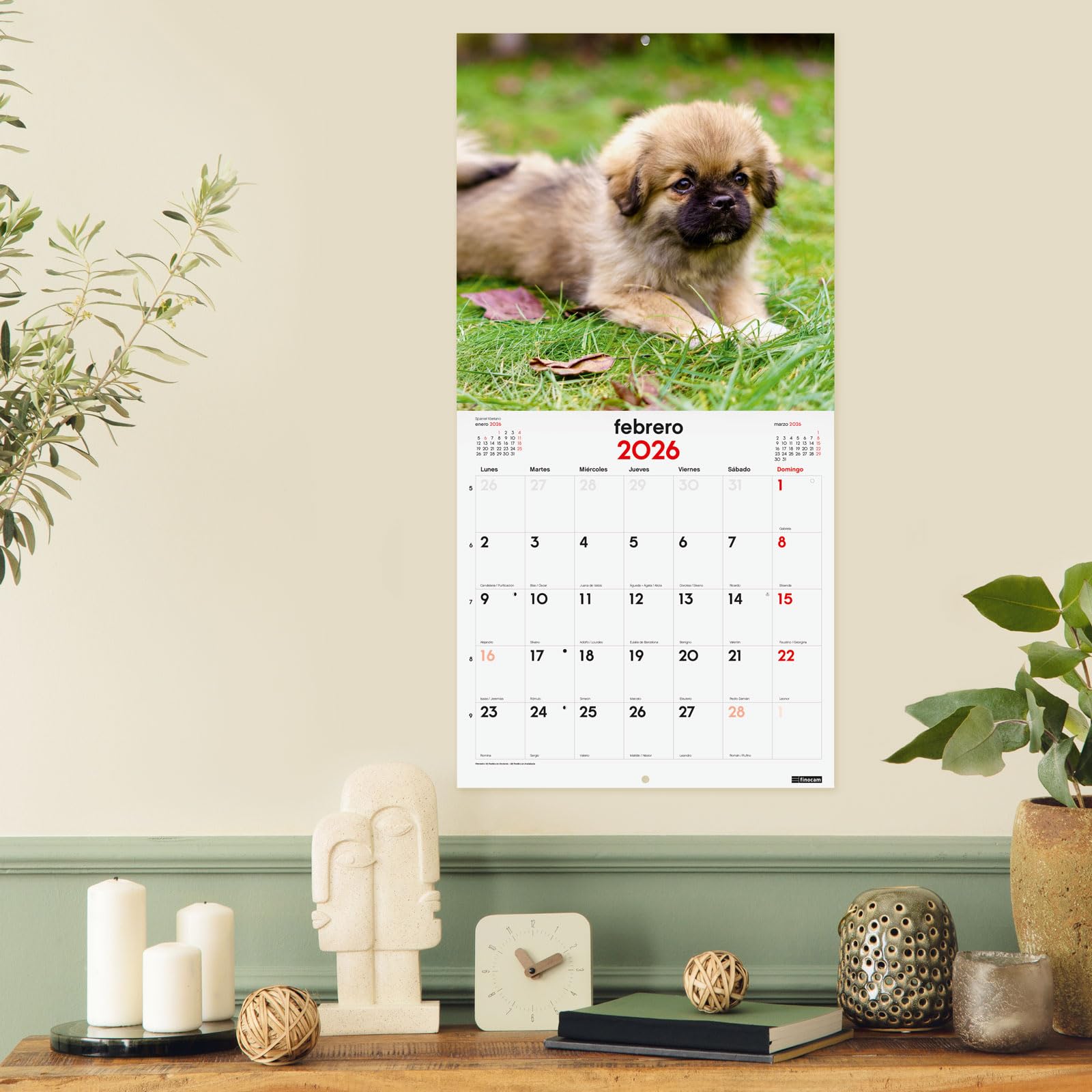 Finocam Wall Calendar 2026 18x18 Cm Month To View January, December 2026 + Sep- Dec 2025 (4 Months) Reduced, Images Nature, International