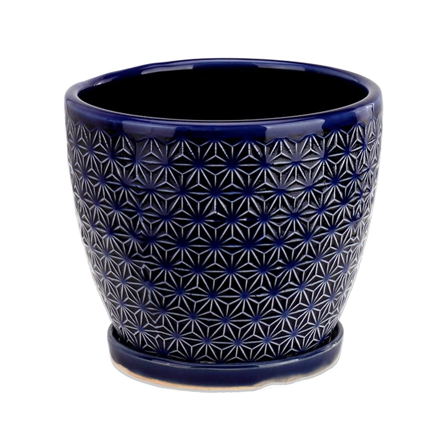 プテンタモズナ様 ジュンヤ ワタナベ マン」×「TDS ニューバランス」による