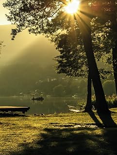 Becoming Unstoppable – Morning Pages Your Daily Sanctuary: Harnessing Stream of Consciousness Writing and Science Backed Reflection to Ignite Clarity, Focus and Productivity