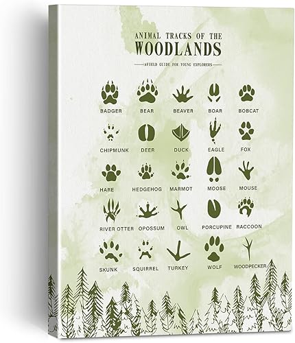 Pistas de animales de los bosques - Lienzo enmarcado para decoración de pared para sala de estar, dormitorio, arte de bosque, acuarela, lienzo