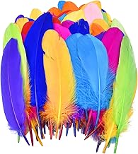 Nivofu 100Pcs Colorful Natural Feathers,Art Crafts Decorative Goose Feather,Soft Plume Fluffy Feathers,Assorted Color Nature Feathers for DIY Craft Wedding Home Party Festivals Decorations