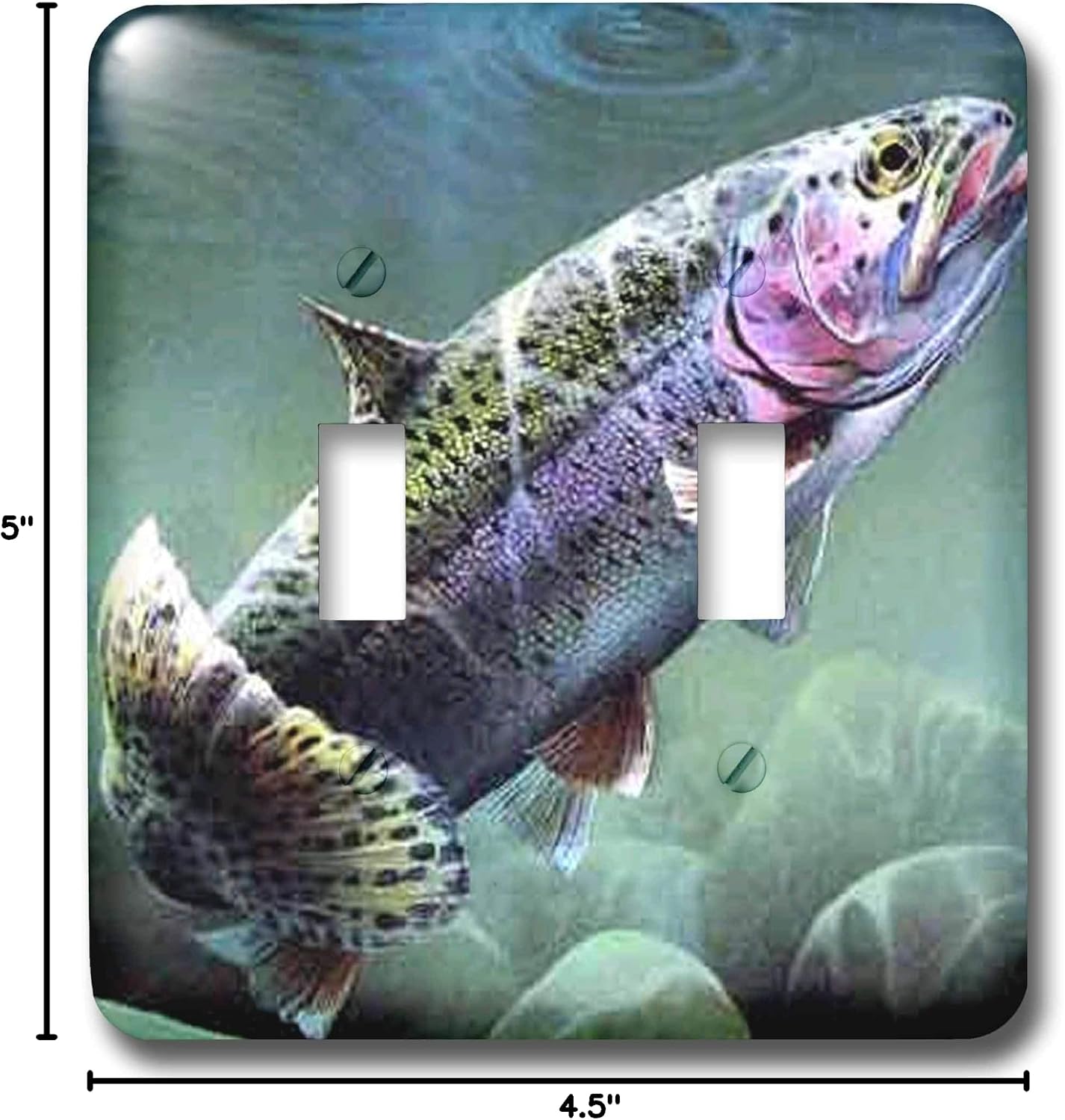 3dRose LLC lsp_3462_2 Rainbow Trout, Double Toggle Switch