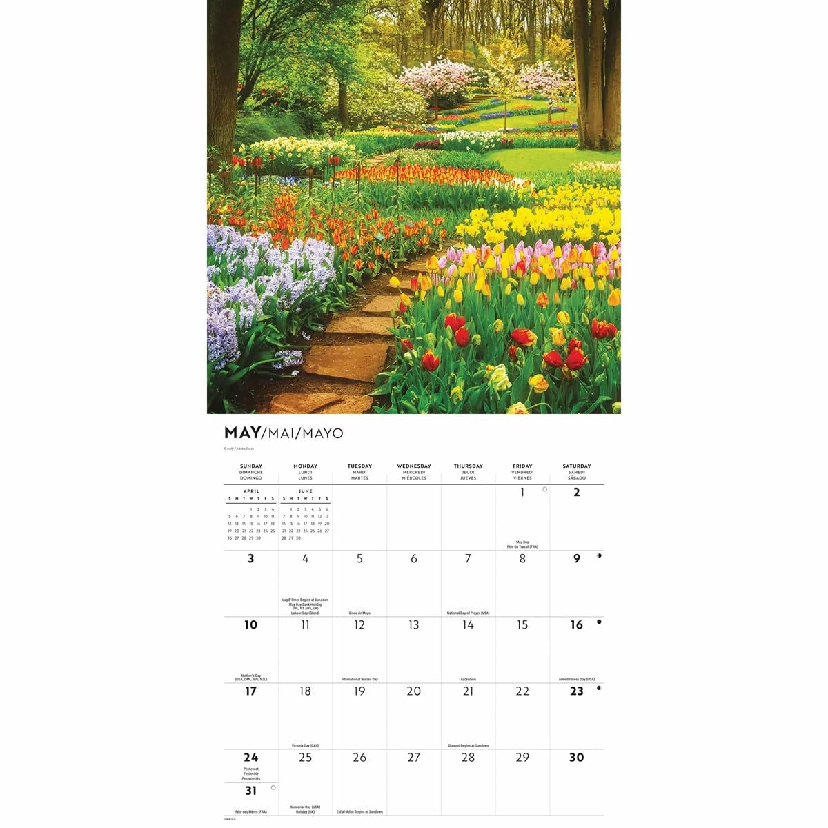 Carousel Calendars, Kalendarz ścienny In the Garden 2026, 30 x 30 cm, 16-miesięczny kalendarz z zszywanym wiązaniem