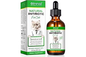 Amoxicillin for Cats: Natural Antibiotic Support