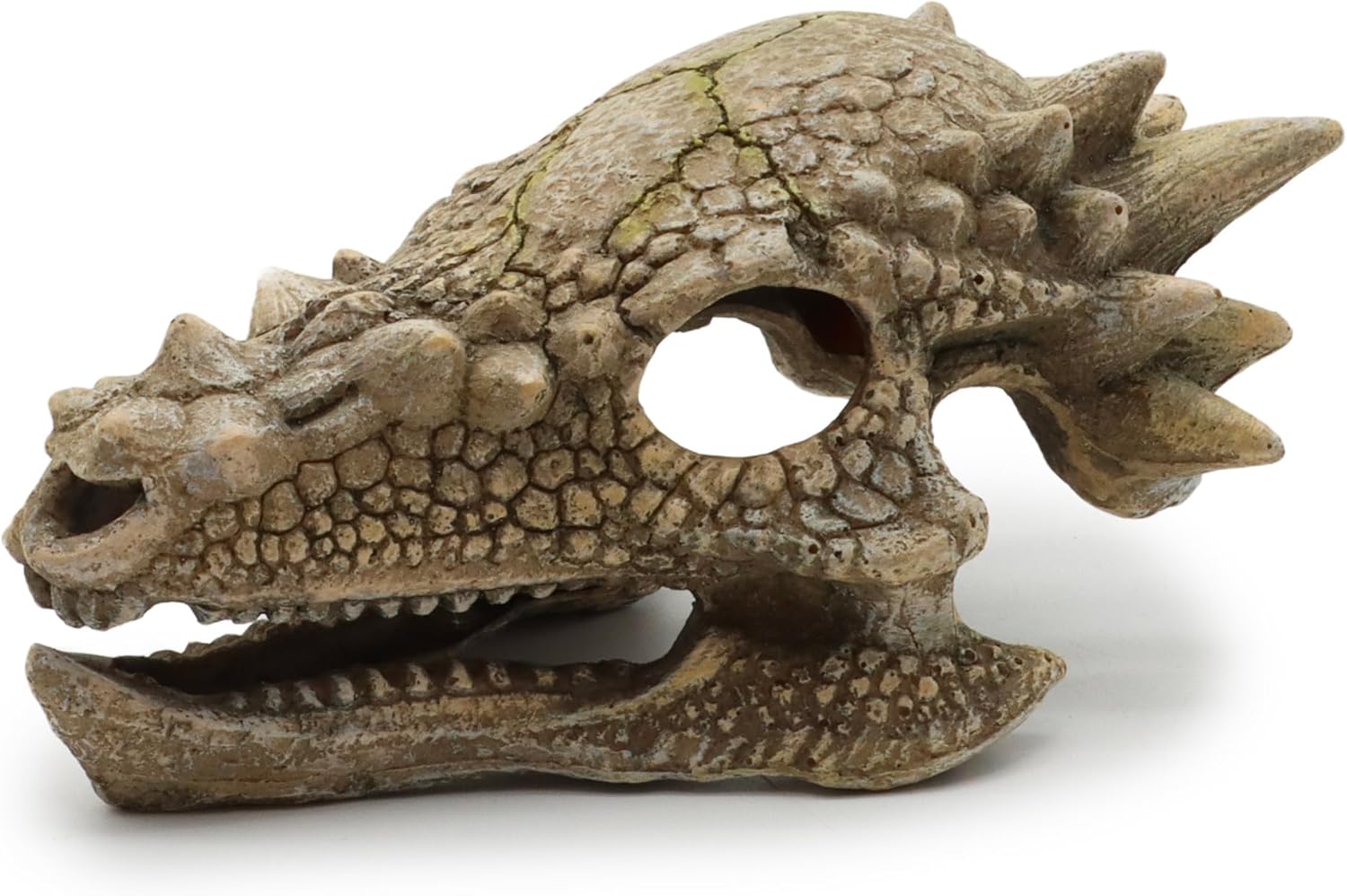 Amtra Wave Dragon Skull B