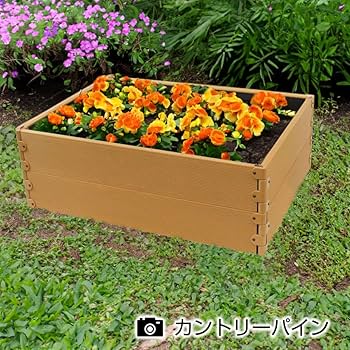 71j5jiz2MbL._AC_UF350,