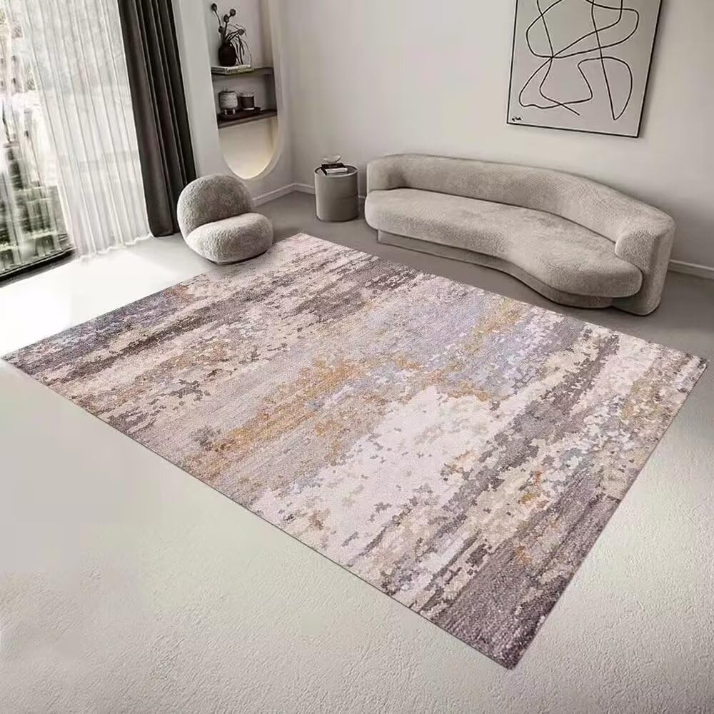 Tapis de salon design flou pour terrasse et couloir moderne