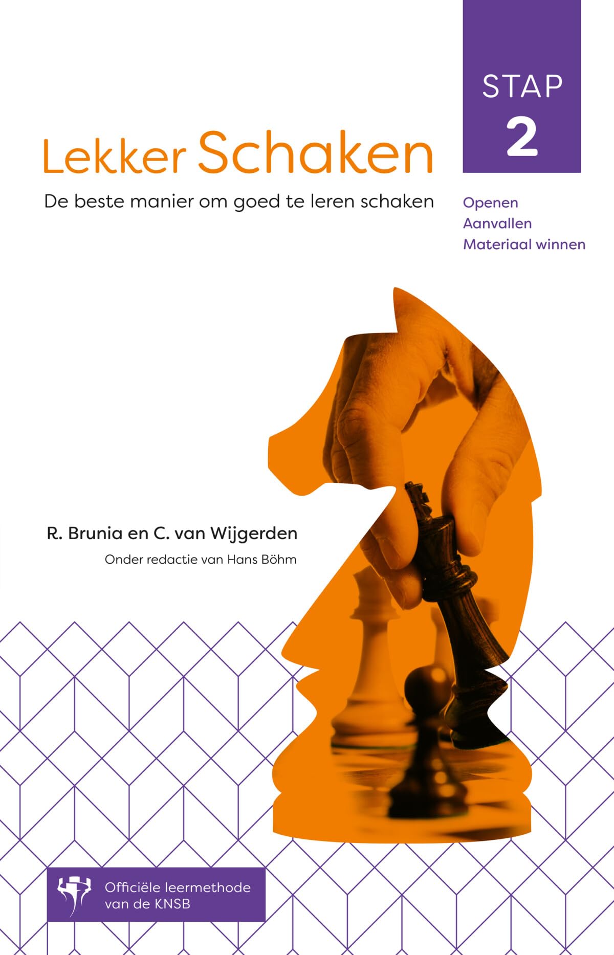 stap 2 openen, aanvallen, materiaal winnen: de beste manier om goed te leren schaken (Lekker schaken)