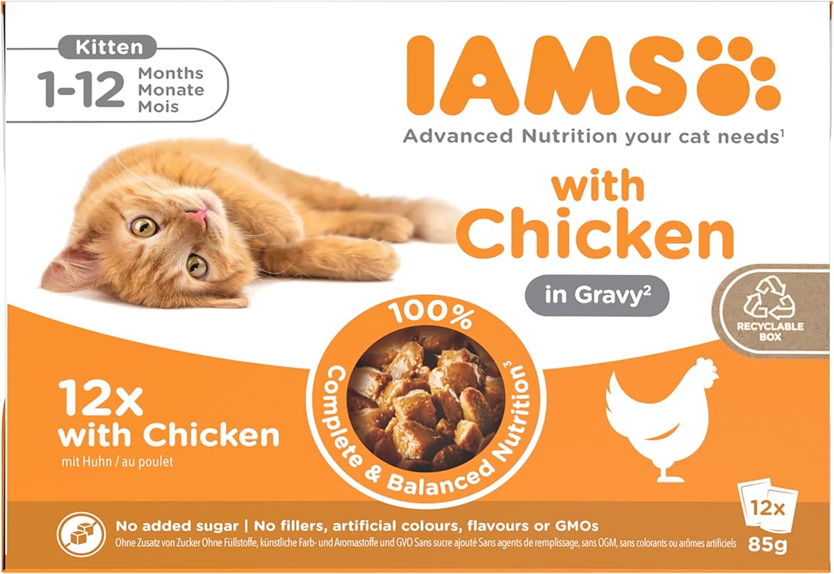 IAMS Kitten Wet Cat Food Chicken in Gravy 12 x 85g