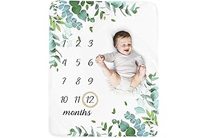 Baby Monthly Milestone Blanket Boy