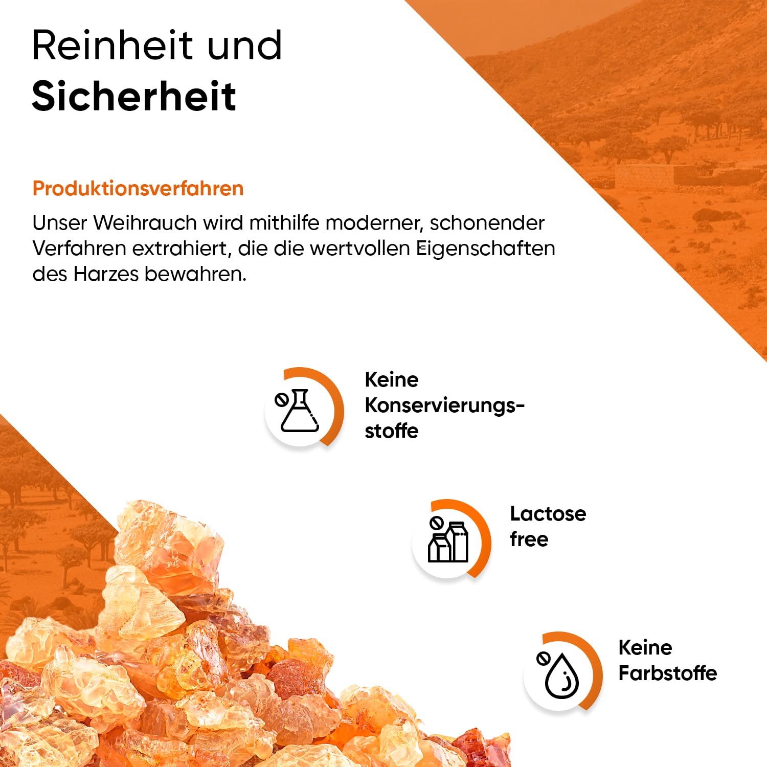 Weihrauch Extrakt 365 Kapseln 940 mg pro Tagesportion aus 100% indischem Boswellia Serrata 85% Boswelliasäure inklusive Pillenbox 6 Monate Vorrat 100% vegan reine Rezeptur geprüfte Qualität