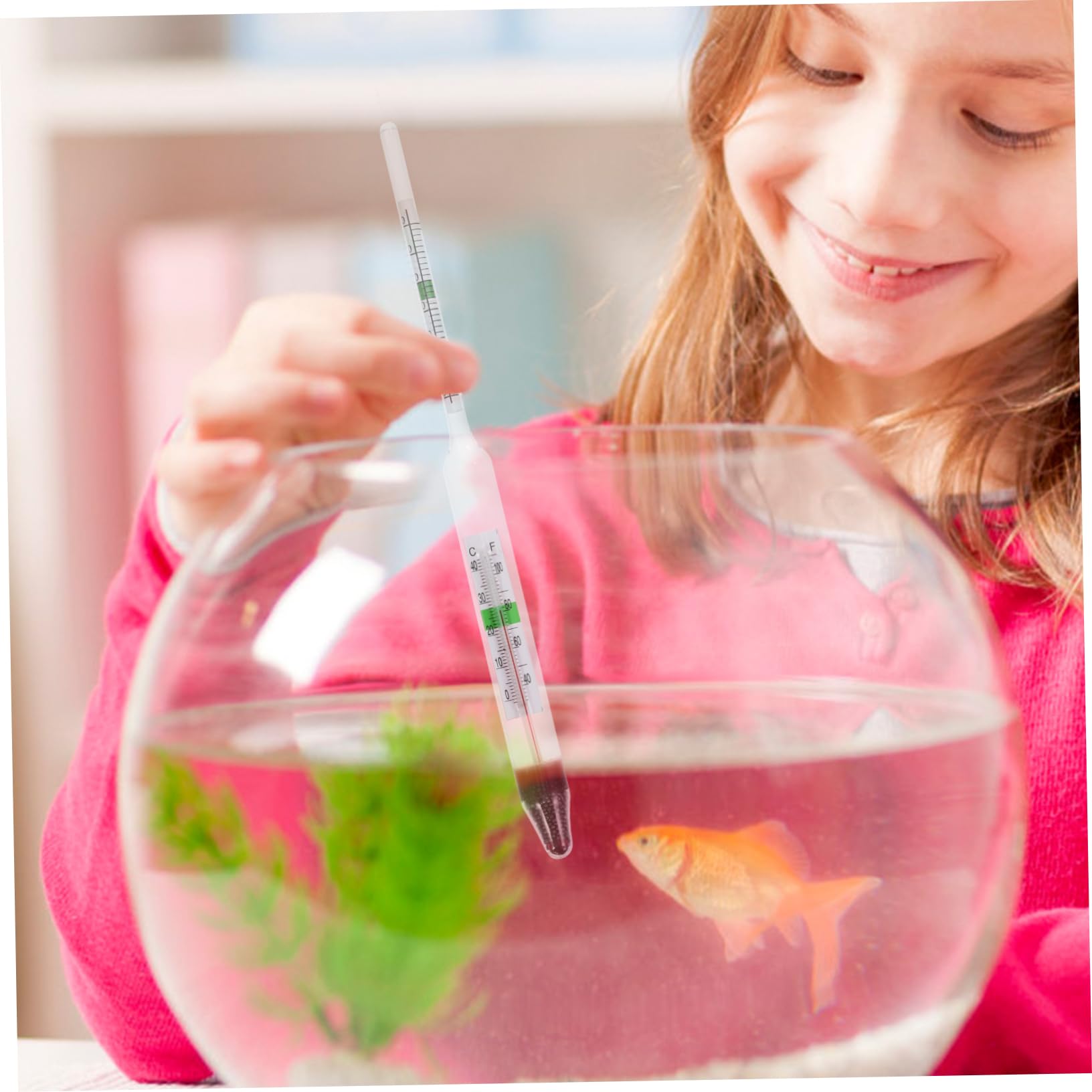 5sätze Hydrometer Für Aquarien Präziser Salzwassertester Mit Holzbox Und Kunststoffmesszylinder Für Meeresaquakultur Und Wasserqualitätsüberwachung