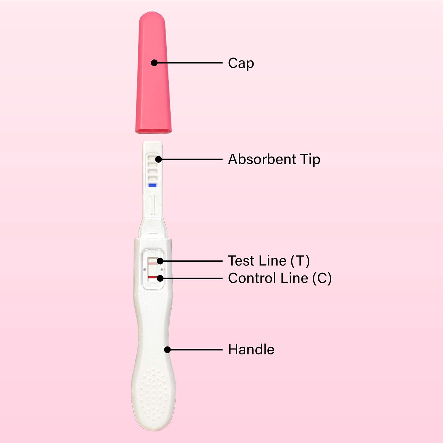 Preview Pregnancy Test Midstream Early Result 6 Pack - Extra Sensitive HCG Urine Test 10 MIU