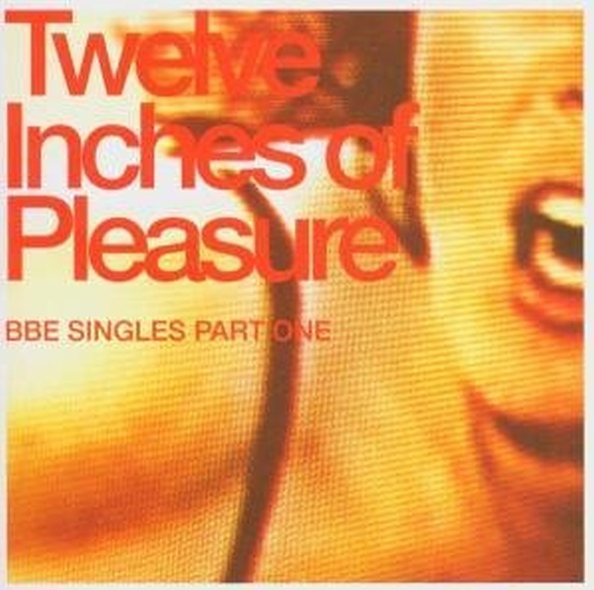 Twelve Inches of Pleasure [Audio CD] Various Artists
