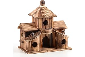 2in1 Bird House and Bird Feeder Combo: Outdoor Exclusive Bird Haven
