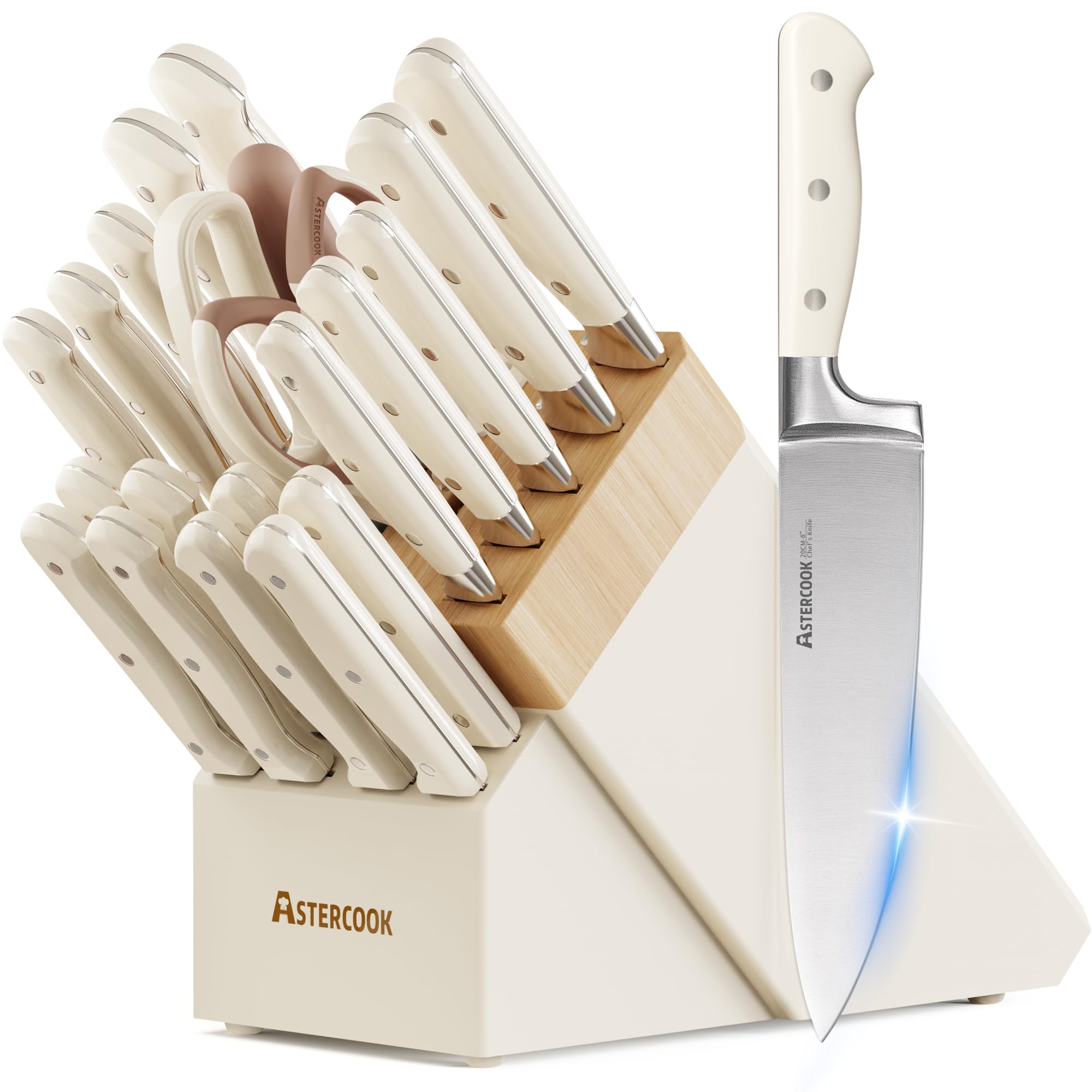 Astercook 22-Piece Block Set