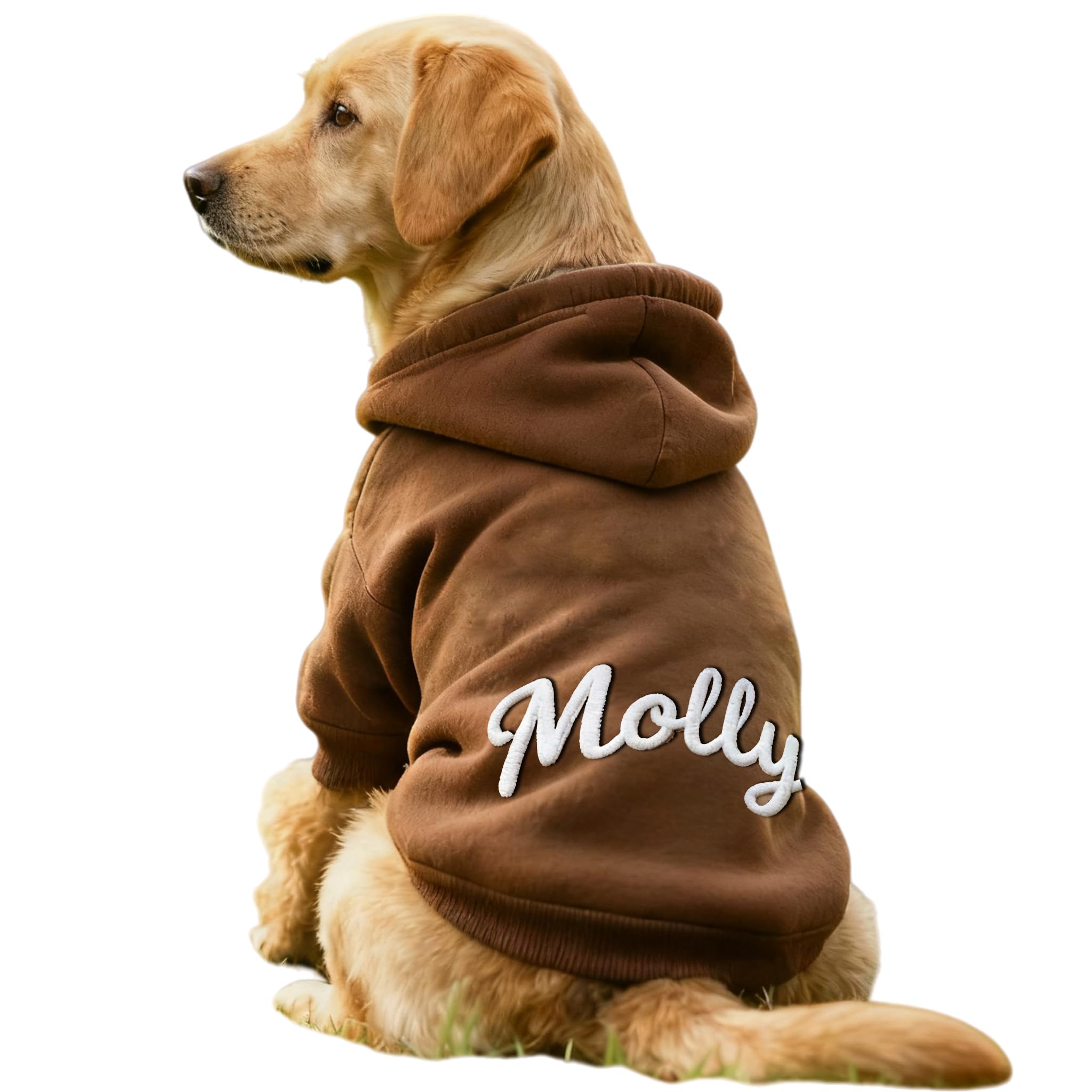 Personalized Dog Hoodie Jumper with Embroidered Name and Paw Print – Custom Fleece Lined Dog Sweatshirt Winter Warm Pet Clothes Gift for Small Medium Large Dogs