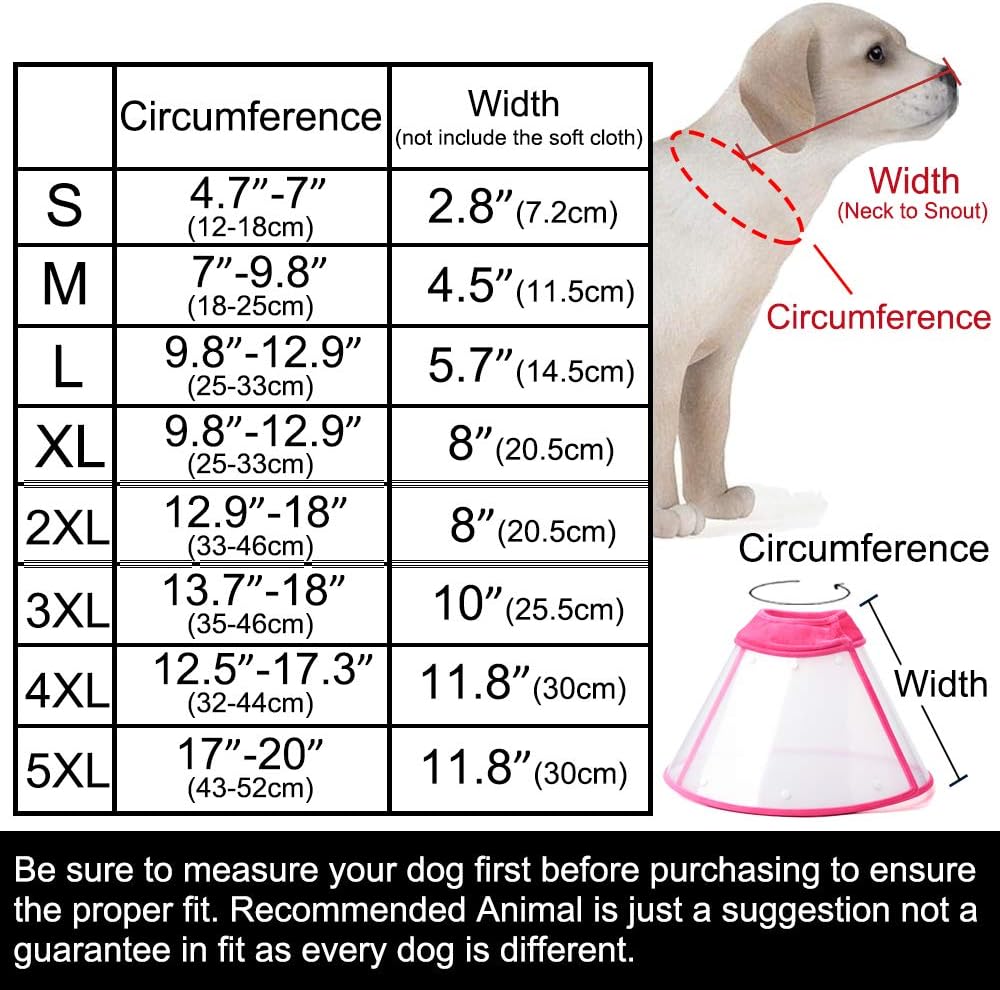 IN HAND Adjustable Recovery Dog Cone Cat Cone, Clear Padded ECollar with Breathable Soft Edge Plastic Soft Cone,Designed for Cats and Puppies