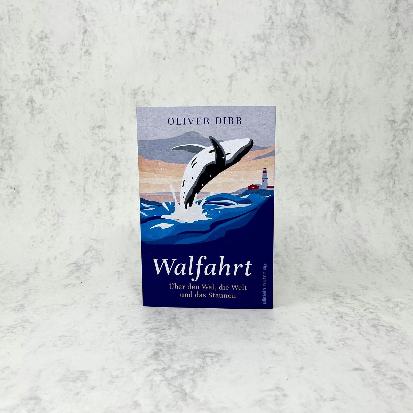 Walfahrt: Über den Wal, die Welt und das Staunen | Eine inspirierende Einladung zum Naturerlebnis Whale-Watching