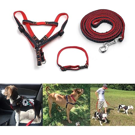 Amazon ハーネス 小型犬用 Alpha Rider 犬ハーネス リード 首輪セット 小型犬 猫用 ペット胴輪 丈夫 品質保証 安全 通気 簡単着脱 調節可能 Alpha Rider ハーネス 通販