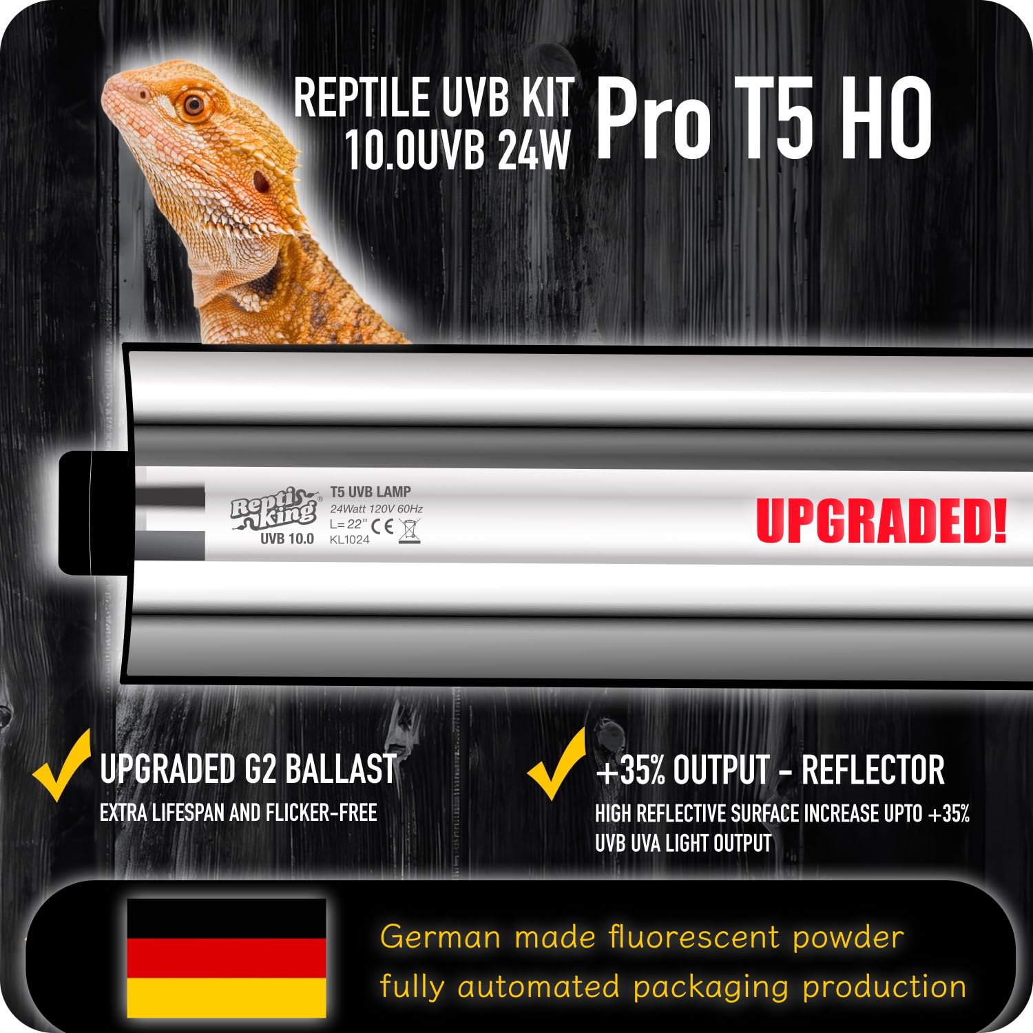 https://m.media-amazon.com/images/I/71j6G9nauoL.jpg