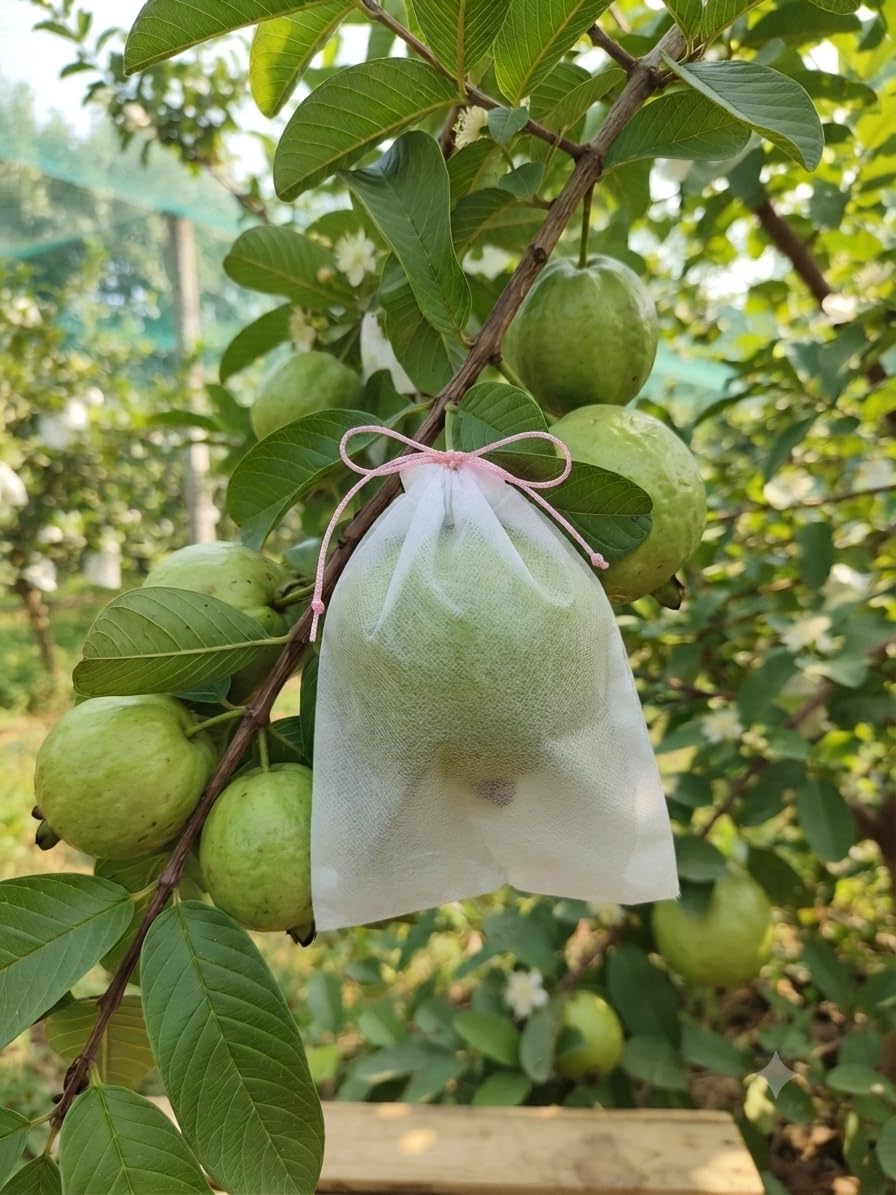 Non Woven Fruit Protection Bag 17 GSM for Guava Mango Pack of 100 | Insect & Bird Control, Drawstring Closure, Fits Multiple Fruits, Breathable Material, Garden Use-image-45