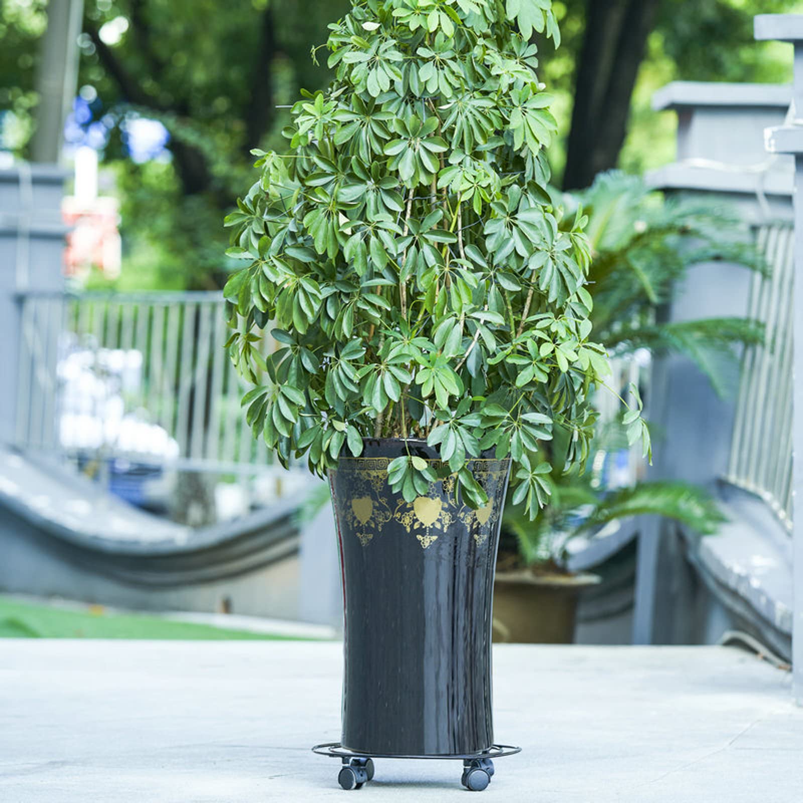 Supporto per Piante da Interno con Ruote, Scaffale per Piante da Esterno, Supporti per Piante per Piante Multiple, Supporto per Piante ad Angolo in Metallo per Finestra Giardino Balcone Soggiorno