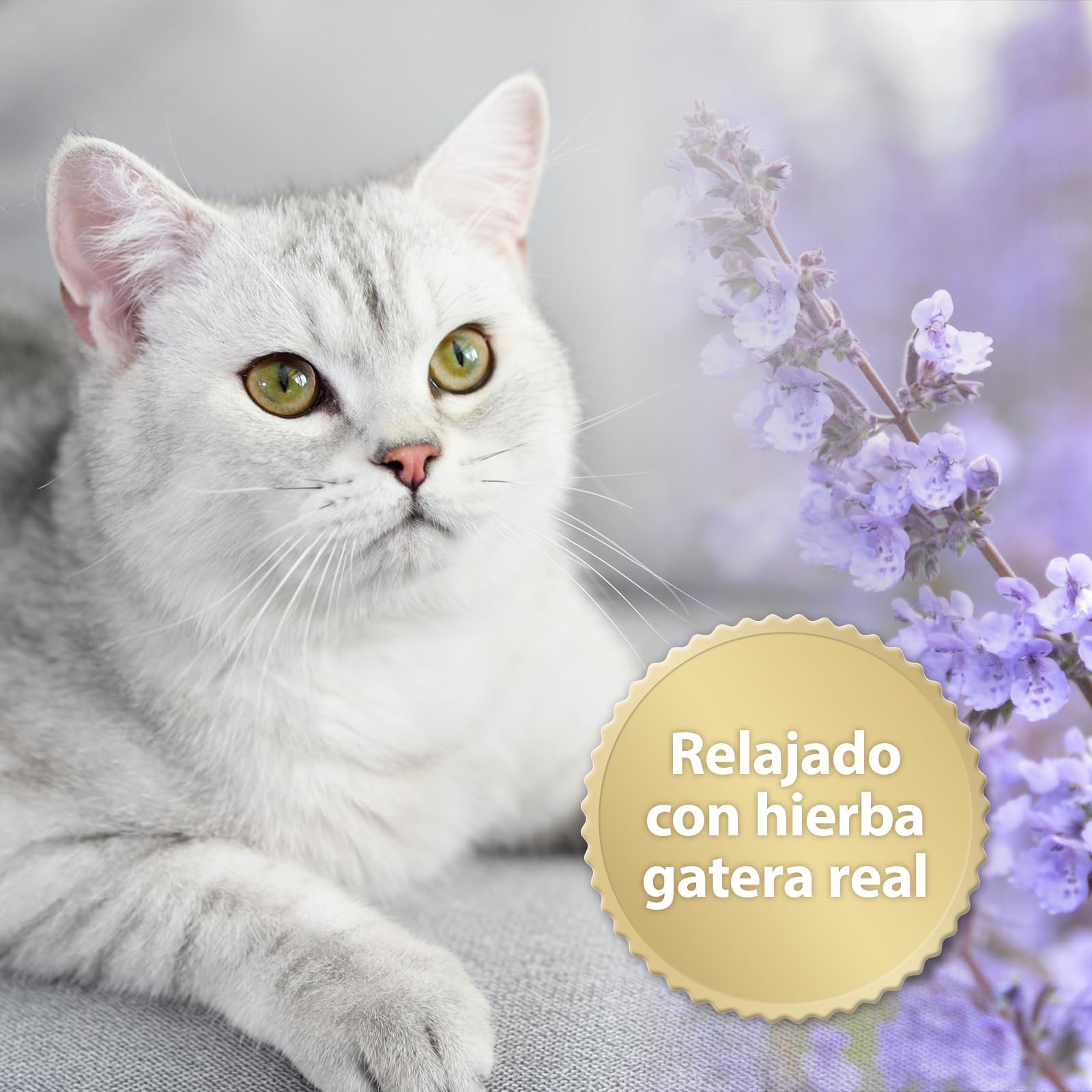 Felisept Home Comfort Spray antiarañazos gatos 100ml - Con Hierba Gatera Natural sin Feromonas para gatos - Reduce El Comportamiento Indeseable, El Estrés Y La Inquietud En Casa Y En Movimiento