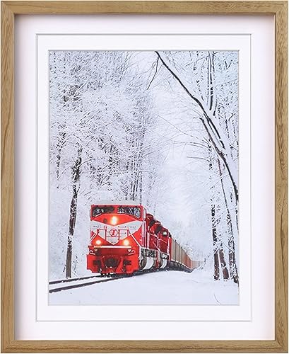 Egofine Marco de póster de 16 x 20 pulgadas, marco de madera maciza con plexiglás mate para montaje en pared, marco de fotos colgante vertical u