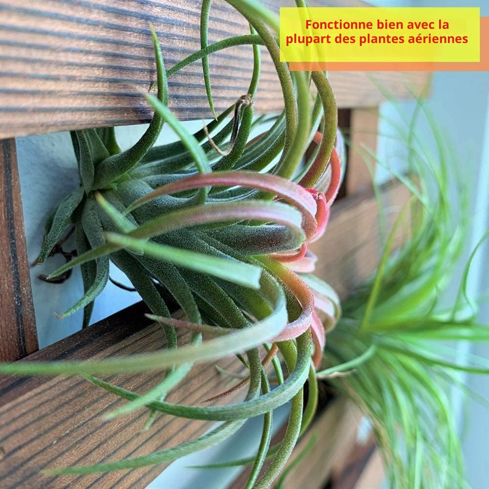 ShopLaLa Jardinière murale – Support en bois pour plantes succulentes d'intérieur et d'extérieur, orchidée vivante Cadre d'affichage vertical pour jardin, balcon, terrasse, salle de bain, Macetas para