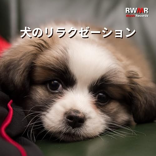Amazon Music Rw 犬のバックグラウンドミュージックの疲れた犬のための音楽 Amazon Co Jp
